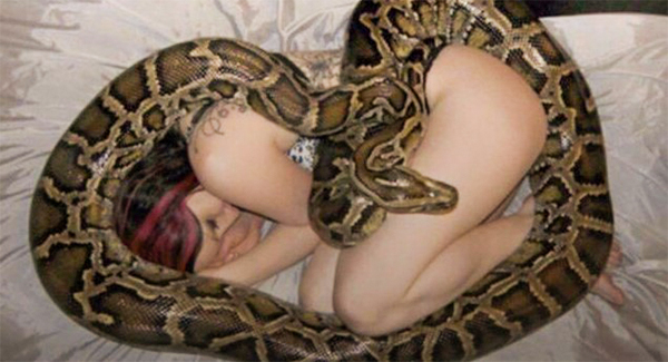 Woman Slept With Her Python Every Night Until Her Vet Uncovered The Dᴇᴀᴅʟʏ Truth