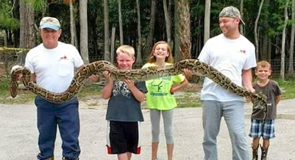 This Is The Moment A Florida Grandfather sʜᴏᴛ ᴅᴇᴀᴅ A 12-foot snake As It sᴛʀᴀɴɢʟᴇᴅ One Of His Goats.