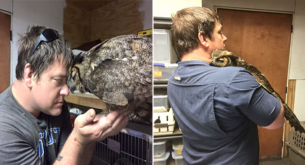 Owl Misses Savior So Much She Can’t Stop Hugging Him