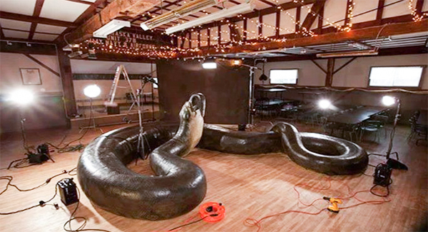 Titanoboa, the 40-Foot-Long Snake, Was Found