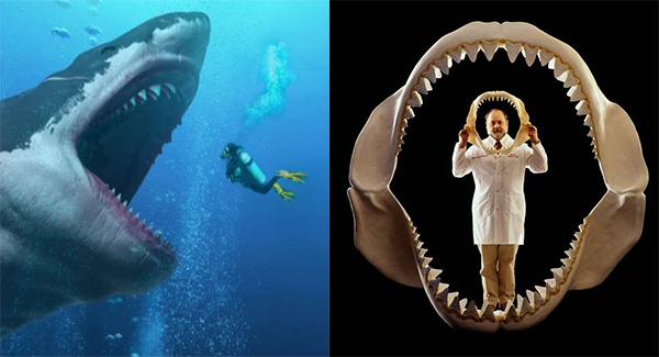 “Megalodon” The largest shark ever and has teeth 3 times bigger than a great white shark
