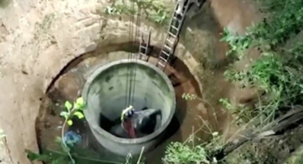 Wild Elephɑnt Rescued From Well After 14-Hour Struggle In India – Elephant Life 