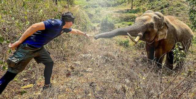 An elephant recognized the vet who treated him 12 years ago in Thailand