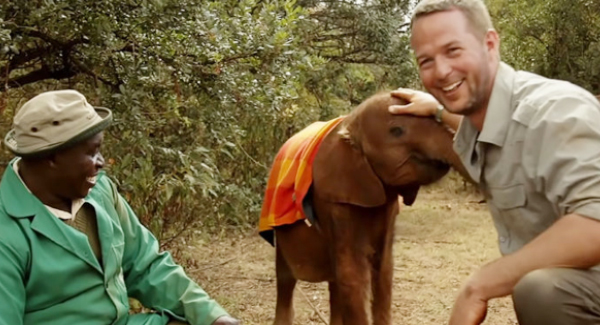 Orphaned Baby Elephant Has Human Best Friends