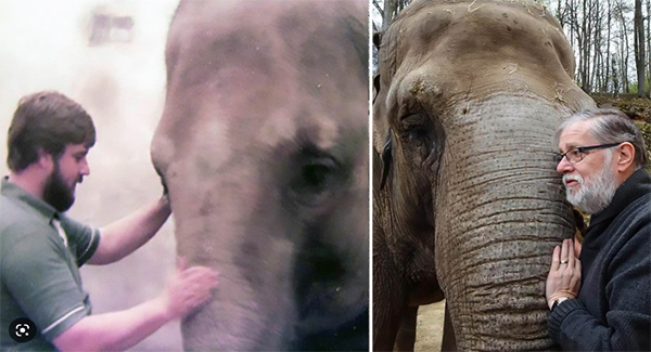 An Elephant Never Forgets! Emotional Reunion For Kirsty The Elephant And Zookeeper