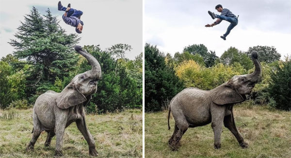 Circus Performer Shows Off His ᴛᴜᴍʙʟɪɴɢ Skills In A Series Of Incredible Flips And Acrobatics With His Beloved Elephants